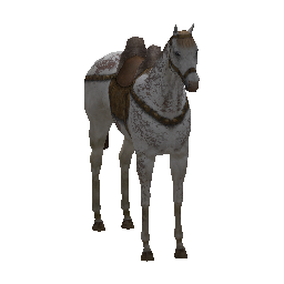 523 | Steppe Horse | itm_steppe_horse