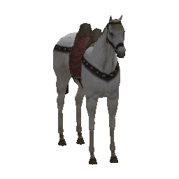 526 | Courser | itm_courser