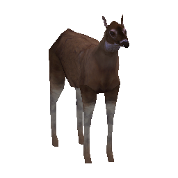 537 | Deer | itm_deer