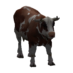 541 | Cow | itm_cow