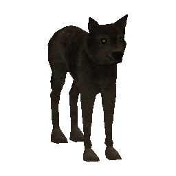 543 | Dog | itm_dog
