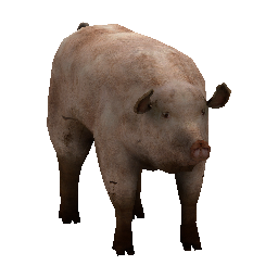 545 | Piglet | itm_piglet