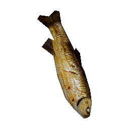 594 | Cooked Fish | itm_cooked_fish