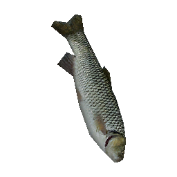 595 | Salted Fish | itm_salted_fish