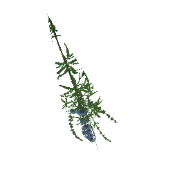 617 | Herb | itm_healing_herb