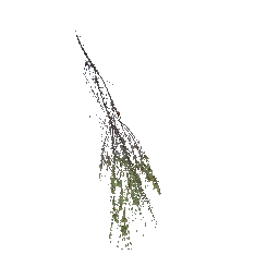 618 | Herb | itm_poison_herb